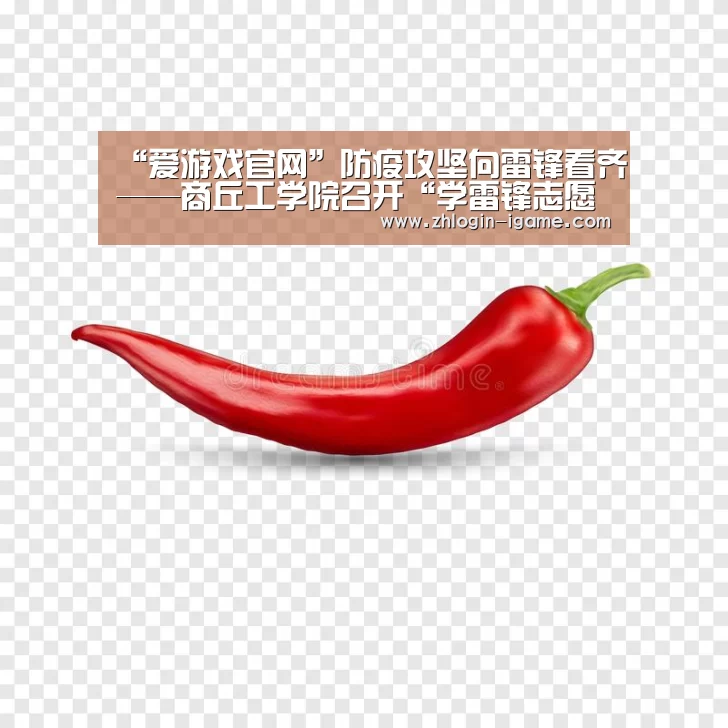 “爱游戏官网”防疫攻坚向雷锋看齐——商丘工学院召开“学雷锋志愿服务月”活动动员会(图4) 爱游戏