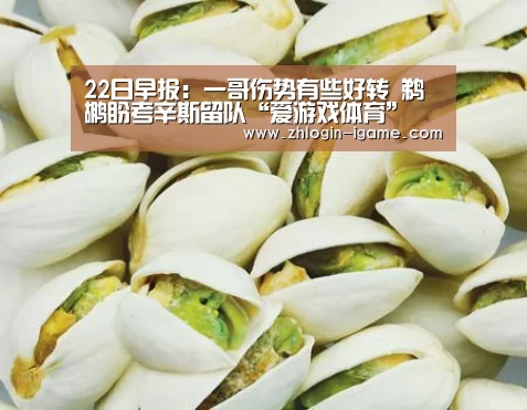 22日早报:一哥伤势有些好转 鹈鹕盼考辛斯留队“爱游戏体育”(图4) 爱游戏体育
