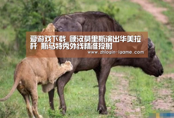 爱游戏体育